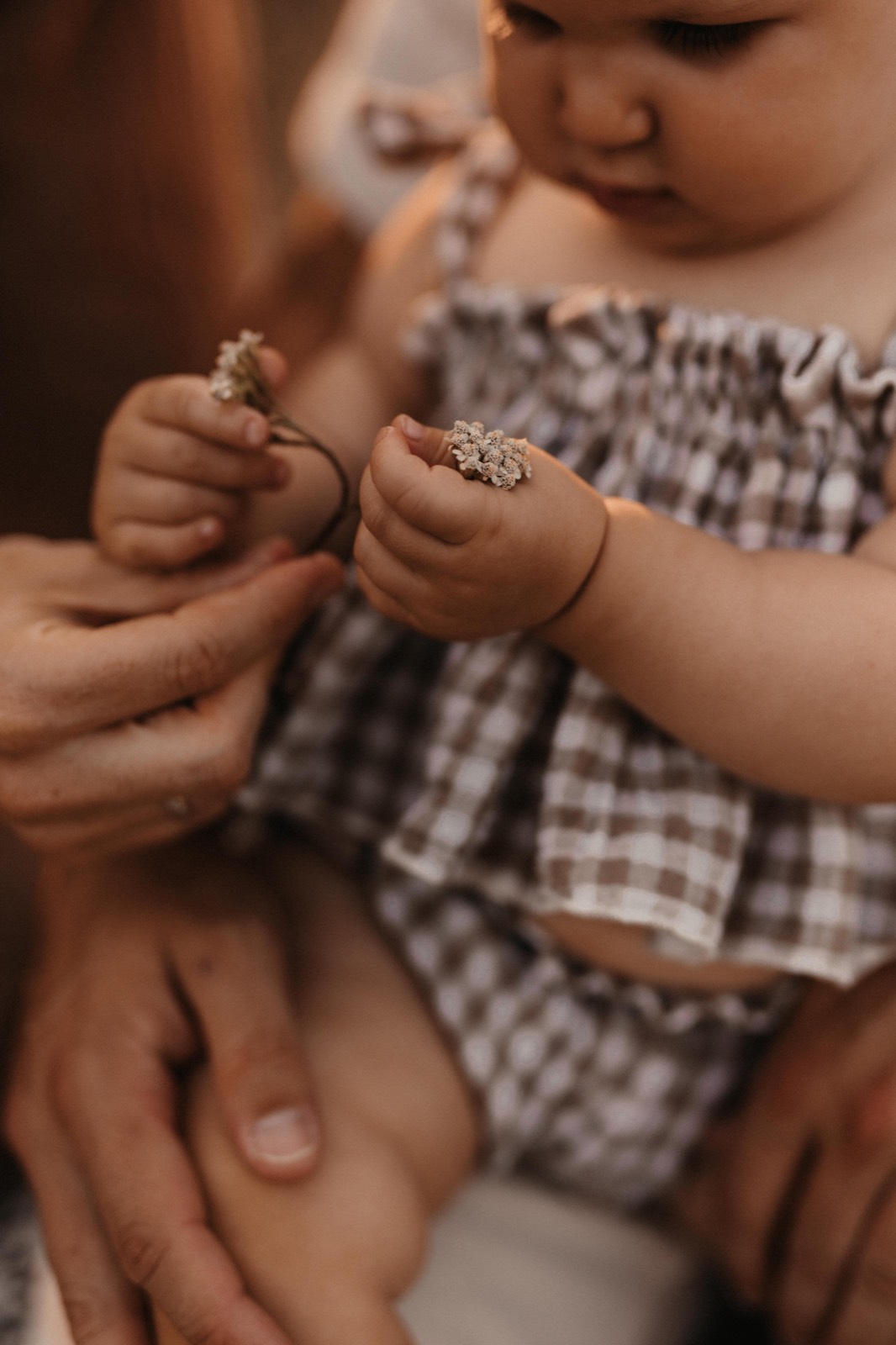 Babyhände halten kleine Blüten über den Händen der Eltern – Detailaufnahme